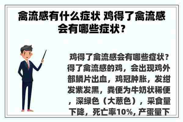 禽流感有什么症状 鸡得了禽流感会有哪些症状？